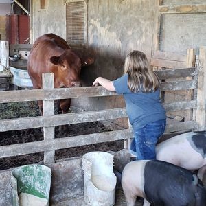 Meet your Posher, Melissa